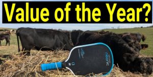 best value pickleball paddle